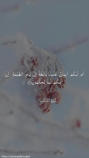 Al-Qalam Ayah 39 - Arabic wallpaper