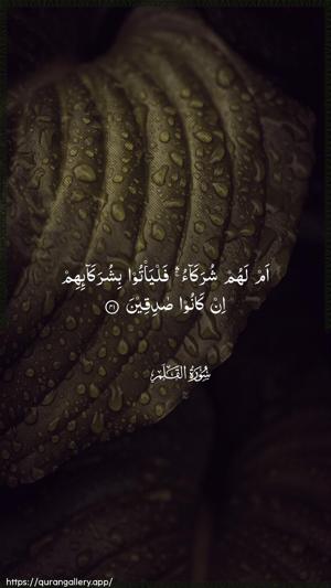 Al-Qalam Ayah 41 - Arabic wallpaper