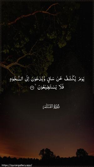 Al-Qalam Ayah 42 - Arabic wallpaper