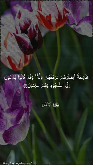Al-Qalam Ayah 43 - Arabic wallpaper