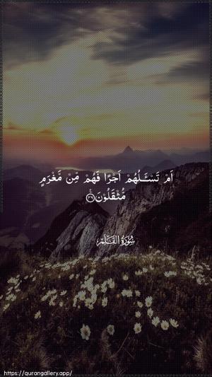 Al-Qalam Ayah 46 - Arabic wallpaper