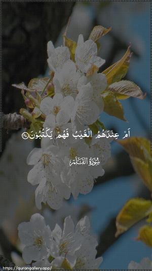 Al-Qalam Ayah 47 - Arabic wallpaper