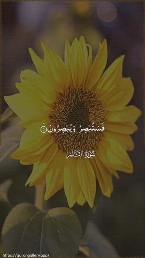 Al-Qalam Ayah 5 - Arabic wallpaper