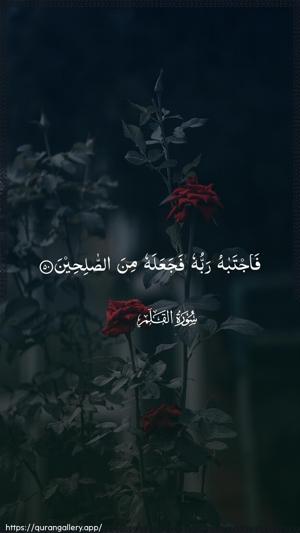Al-Qalam Ayah 50 - Arabic wallpaper