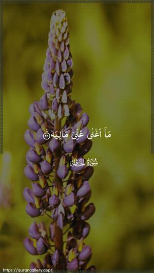 Al-Haaqqa Ayah 28 - Arabic wallpaper