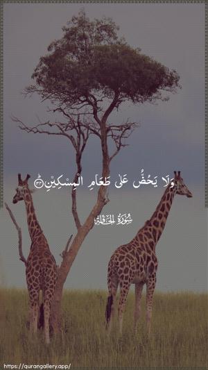 Al-Haaqqa Ayah 34 - Arabic wallpaper