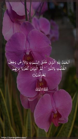 Al-An"aam Ayah 1 - Arabic wallpaper