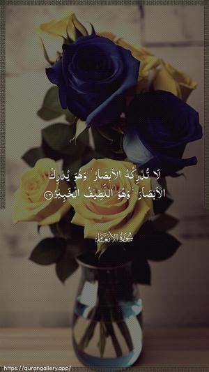 Al-An"aam Ayah 103 - Arabic wallpaper