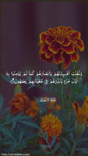 Al-An"aam Ayah 110 - Arabic wallpaper