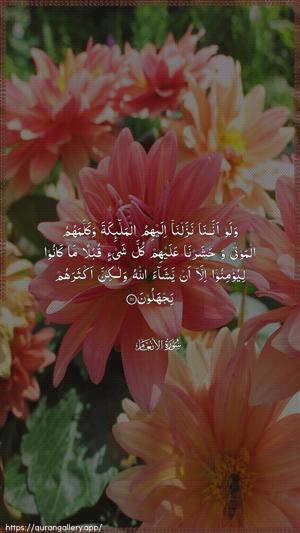 Al-An"aam Ayah 111 - Arabic wallpaper
