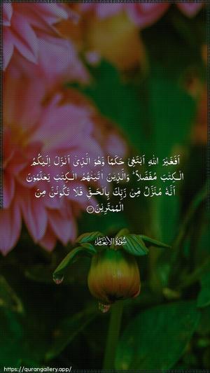 Al-An"aam Ayah 114 - Arabic wallpaper