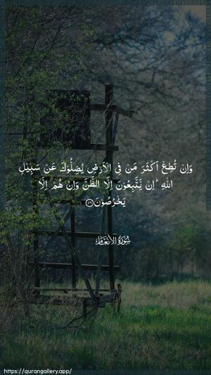 Al-An"aam Ayah 116 - Arabic wallpaper