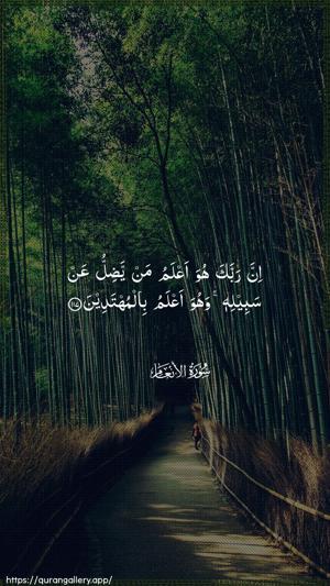Al-An"aam Ayah 117 - Arabic wallpaper