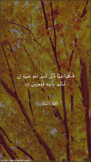 Al-An"aam Ayah 118 - Arabic wallpaper