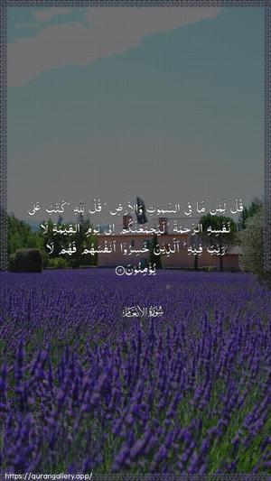 Al-An"aam Ayah 12 - Arabic wallpaper