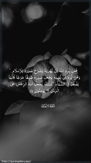 Al-An"aam Ayah 125 - Arabic wallpaper