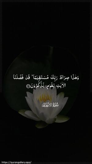 Al-An"aam Ayah 126 - Arabic wallpaper