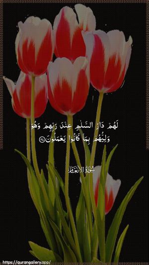 Al-An"aam Ayah 127 - Arabic wallpaper