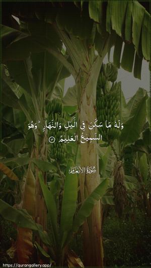 Al-An"aam Ayah 13 - Arabic wallpaper