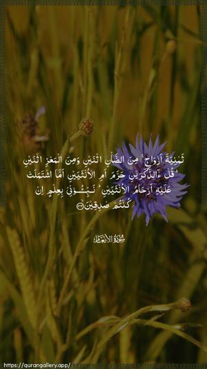 Al-An"aam Ayah 143 - Arabic wallpaper
