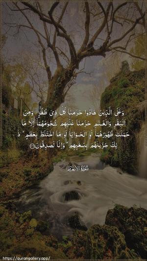 Al-An"aam Ayah 146 - Arabic wallpaper