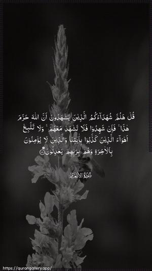 Al-An"aam Ayah 150 - Arabic wallpaper