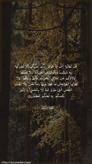 Al-An"aam Ayah 151 - Arabic wallpaper