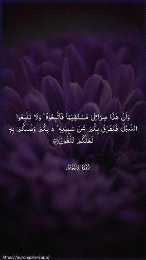 Al-An"aam Ayah 153 - Arabic wallpaper