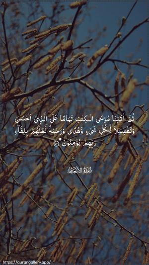 Al-An"aam Ayah 154 - Arabic wallpaper