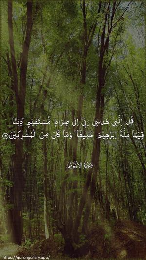 Al-An"aam Ayah 161 - Arabic wallpaper