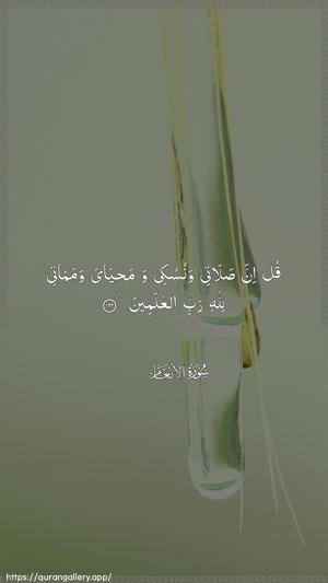Al-An"aam Ayah 162 - Arabic wallpaper