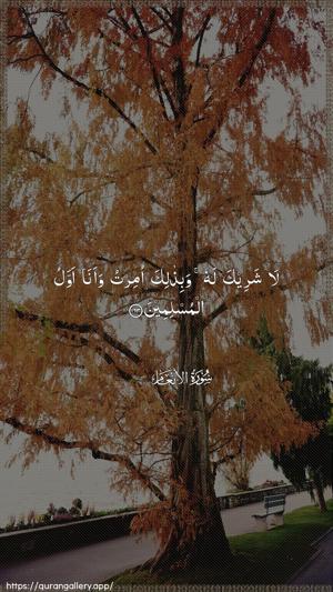 Al-An"aam Ayah 163 - Arabic wallpaper