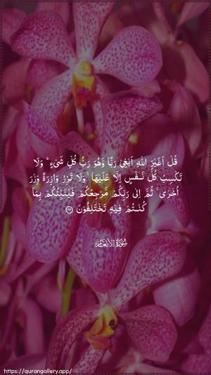 Al-An"aam Ayah 164 - Arabic wallpaper