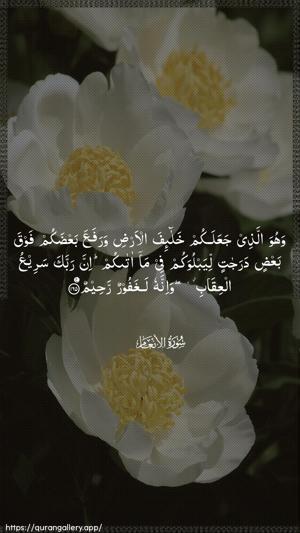 Al-An"aam Ayah 165 - Arabic wallpaper