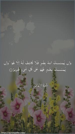 Al-An"aam Ayah 17 - Arabic wallpaper