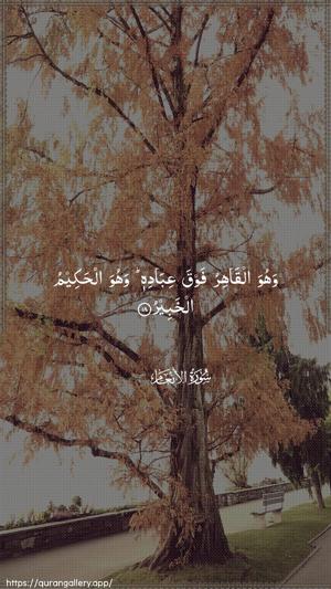 Al-An"aam Ayah 18 - Arabic wallpaper