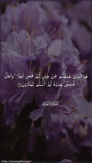Al-An"aam Ayah 2 - Arabic wallpaper