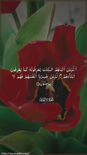Al-An"aam Ayah 20 - Arabic wallpaper