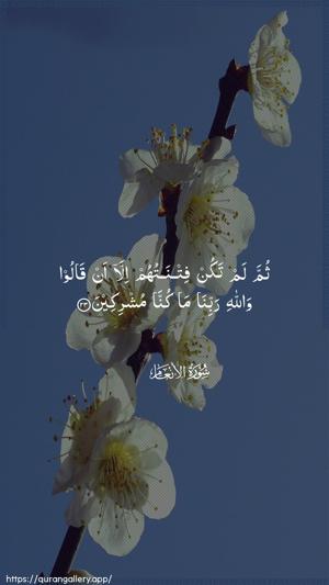 Al-An"aam Ayah 23 - Arabic wallpaper