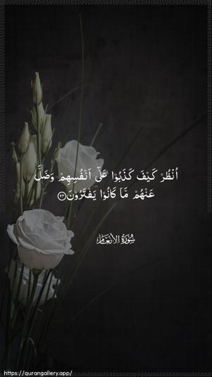 Al-An"aam Ayah 24 - Arabic wallpaper