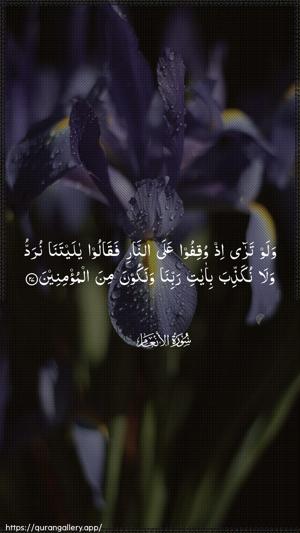 Al-An"aam Ayah 27 - Arabic wallpaper