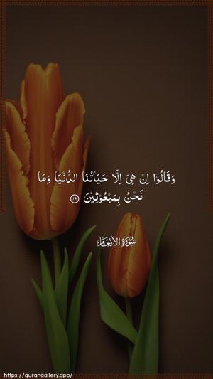 Al-An"aam Ayah 29 - Arabic wallpaper