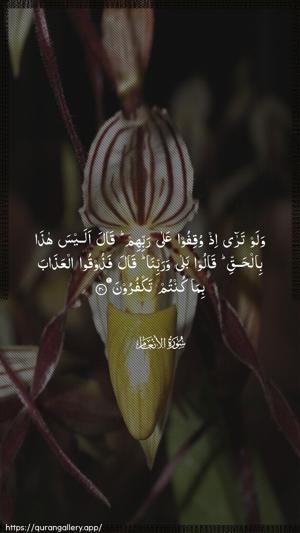 Al-An"aam Ayah 30 - Arabic wallpaper