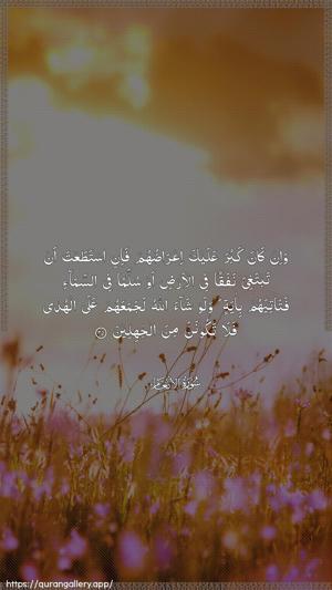 Al-An"aam Ayah 35 - Arabic wallpaper