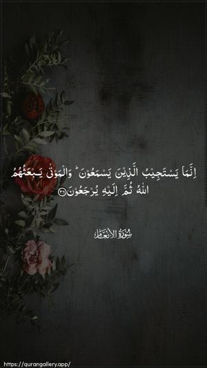 Al-An"aam Ayah 36 - Arabic wallpaper