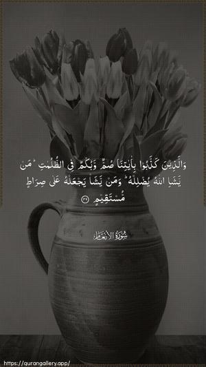 Al-An"aam Ayah 39 - Arabic wallpaper