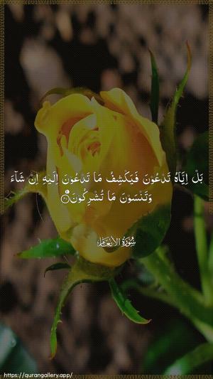 Al-An"aam Ayah 41 - Arabic wallpaper