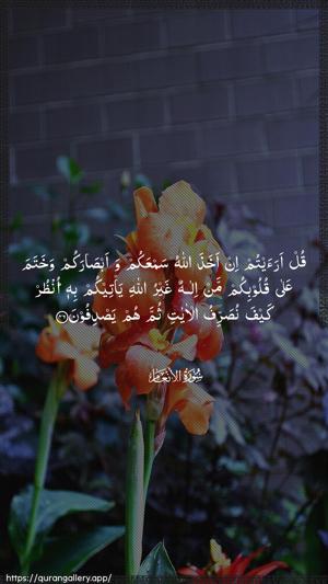 Al-An"aam Ayah 46 - Arabic wallpaper
