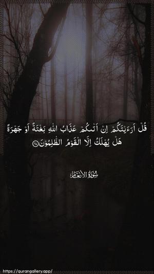 Al-An"aam Ayah 47 - Arabic wallpaper