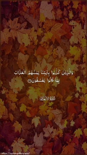 Al-An"aam Ayah 49 - Arabic wallpaper